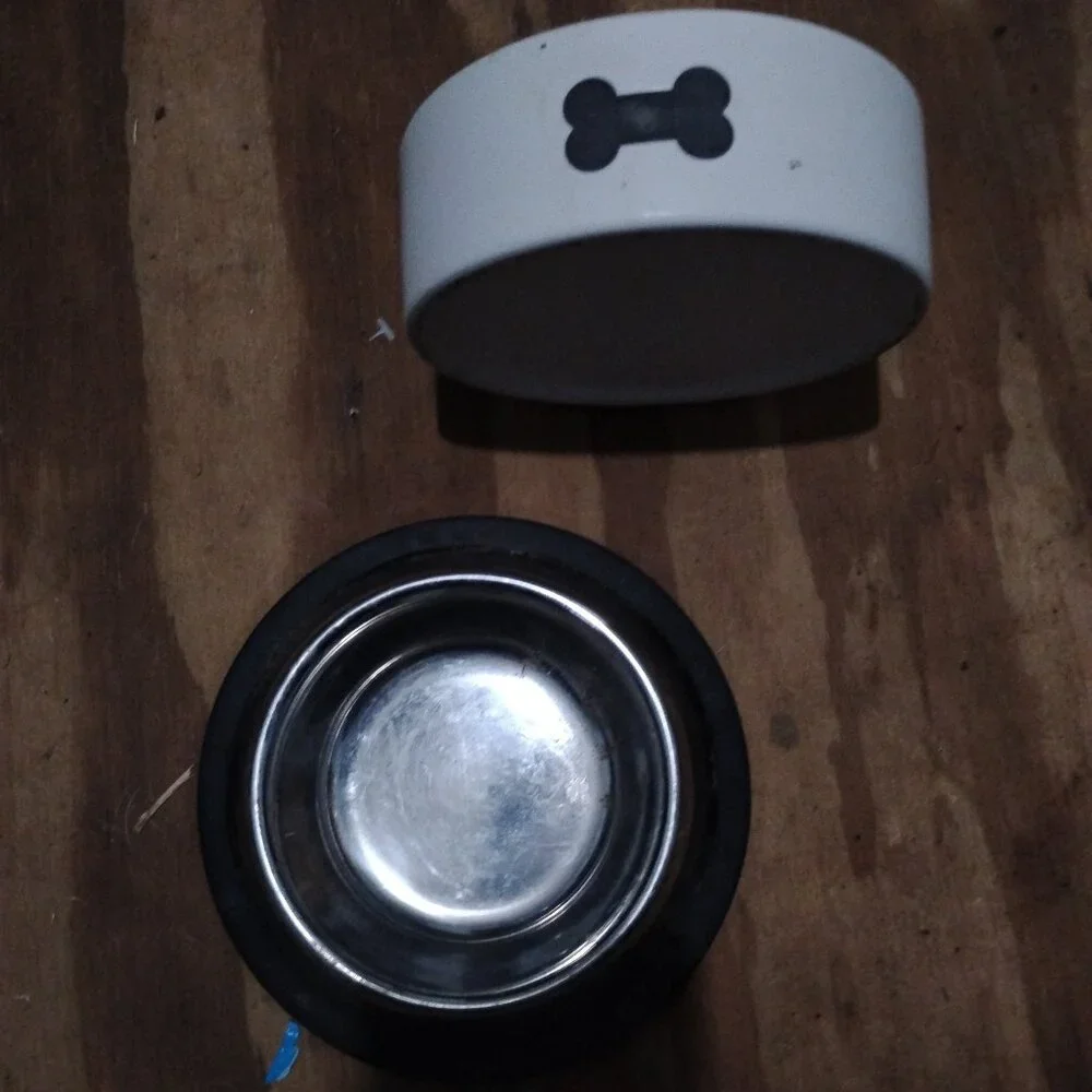 Dog & cat bowl